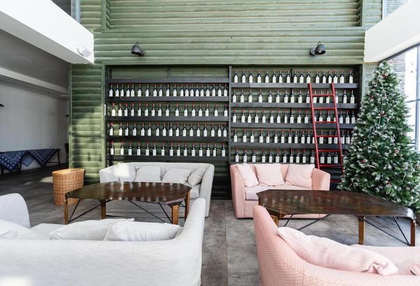 בית מלון כפרי Roshe Gudauri