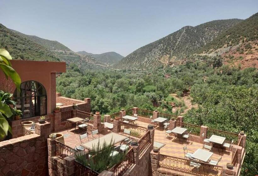 Пансион Boutique Guesthouse Dar Zohra