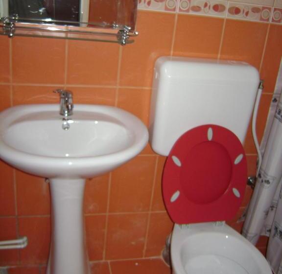 ペンション Casa Dobrin