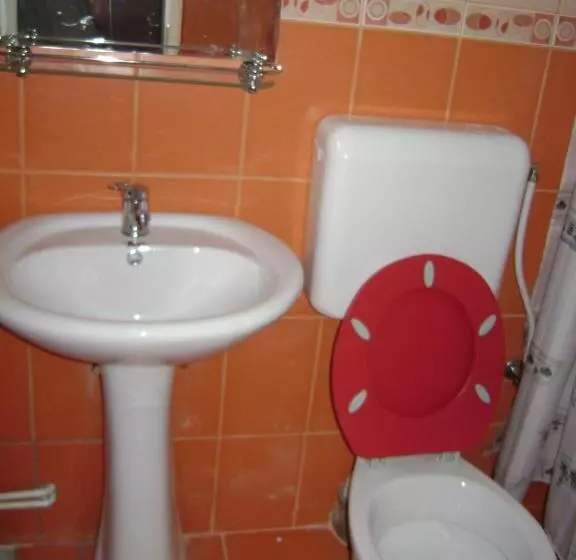 ペンション Casa Dobrin