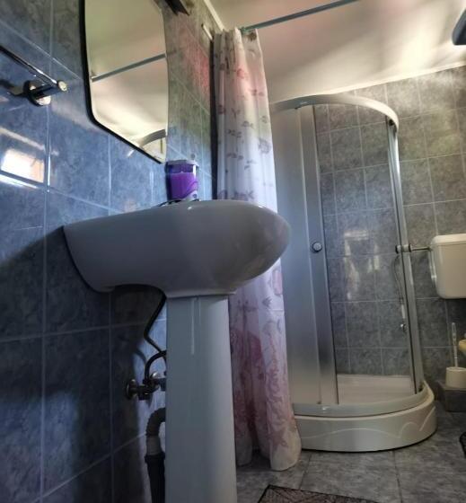 ペンション Casa Dobrin