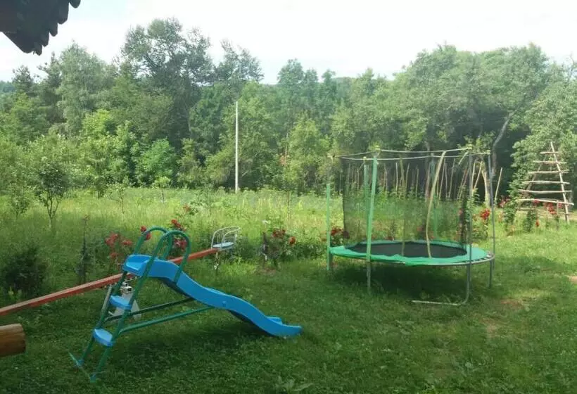 ペンション Casa Dobrin