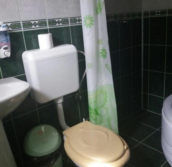 ペンション Casa Dobrin