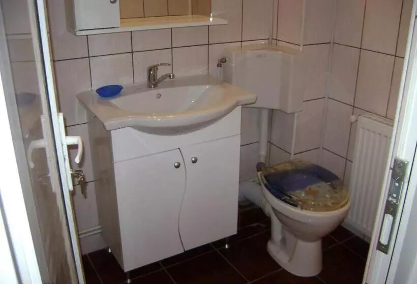 ペンション Casa Dobrin