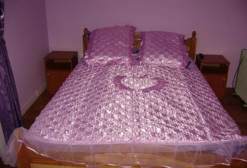 ペンション Casa Dobrin