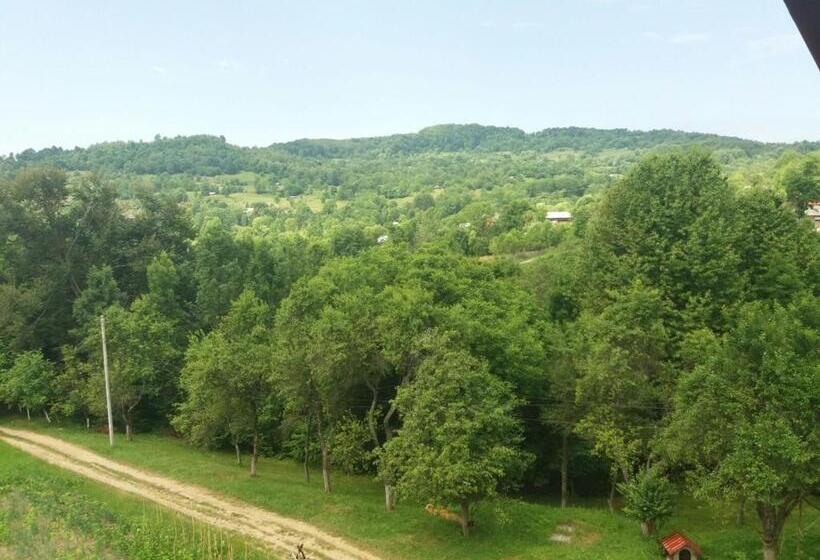 ペンション Casa Dobrin