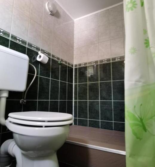 ペンション Casa Dobrin