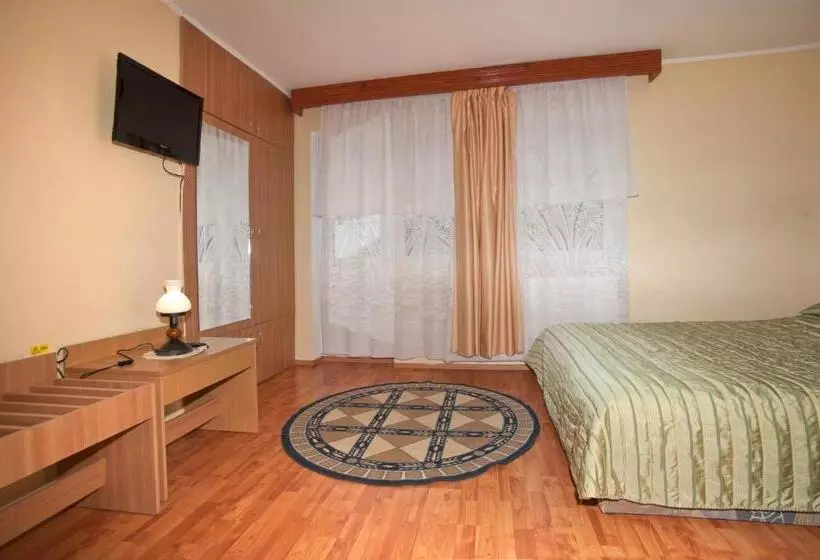 ペンション Casa Tudor