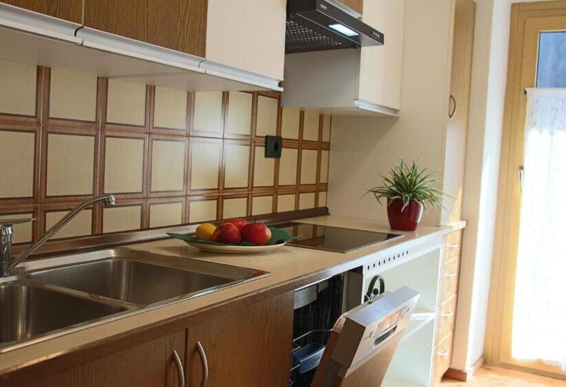 פנסיון Ciasa Alfri