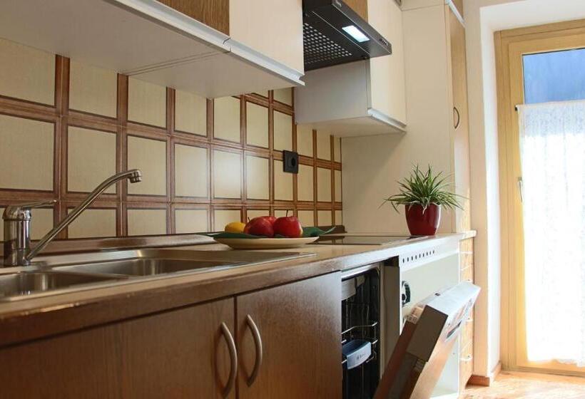 פנסיון Ciasa Alfri