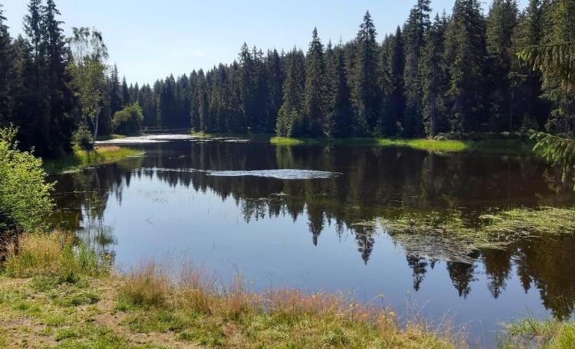 Panzió Penzion Jizerská Malina