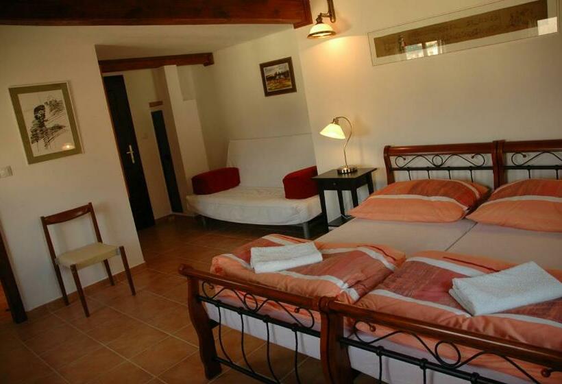 פנסיון Penzion U Kubínů