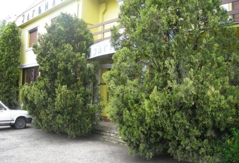 هاستل Utr Jagnjilo 1986