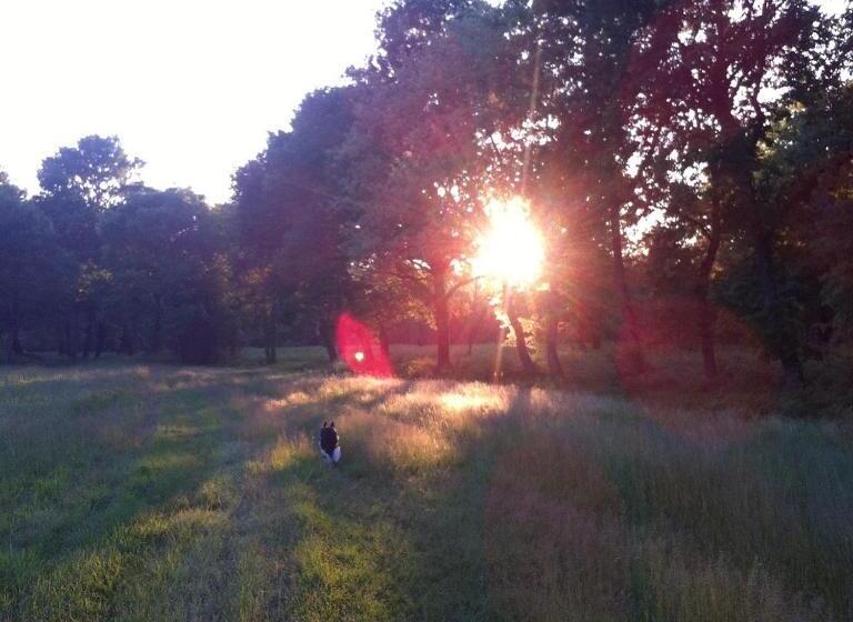 Bed and Breakfast Les Chambres D Hôtes Du Domaine De Lugazaut