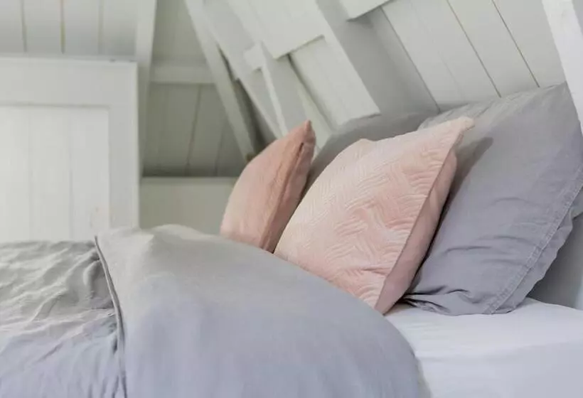 Aamiaismajoitus (B&B) De Friese Wouden