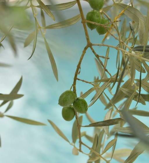 ベッドアンドブレックファースト ô Gré Des Sens