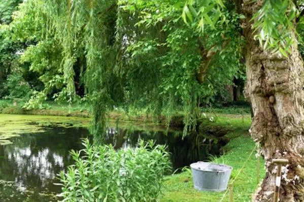 ベッドアンドブレックファースト Manoir De La Peylouse