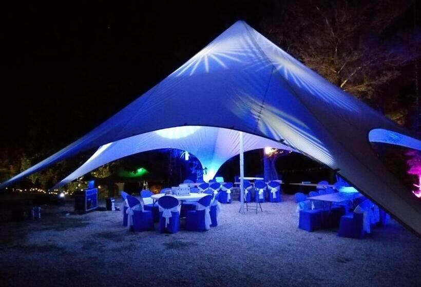 ベッドアンドブレックファースト Suite Médiévale 40m2 Chambre D  Hôte Du Mas Fabrègue