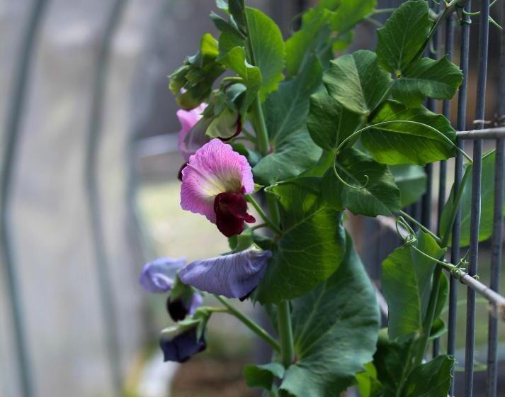 住宿加早餐 Tomah Retreat Studio Breathe With Fireplace