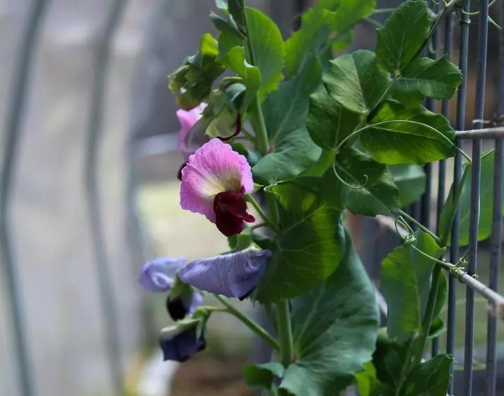 Aamiaismajoitus (B&B) Tomah Retreat   Studio Breathe With Fireplace