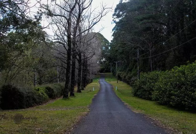 Aamiaismajoitus (B&B) Tomah Retreat   Studio Breathe With Fireplace