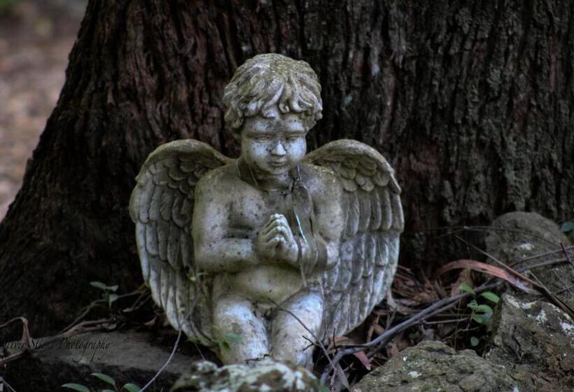 住宿加早餐 Tomah Retreat Studio Breathe With Fireplace