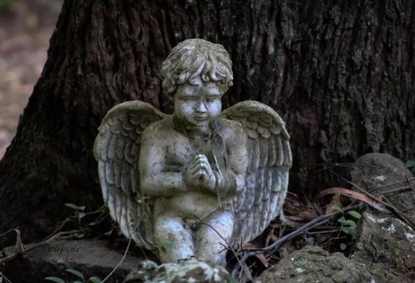 Aamiaismajoitus (B&B) Tomah Retreat   Studio Breathe With Fireplace