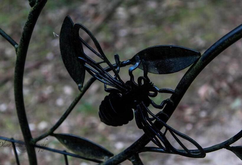 住宿加早餐 Tomah Retreat Studio Breathe With Fireplace