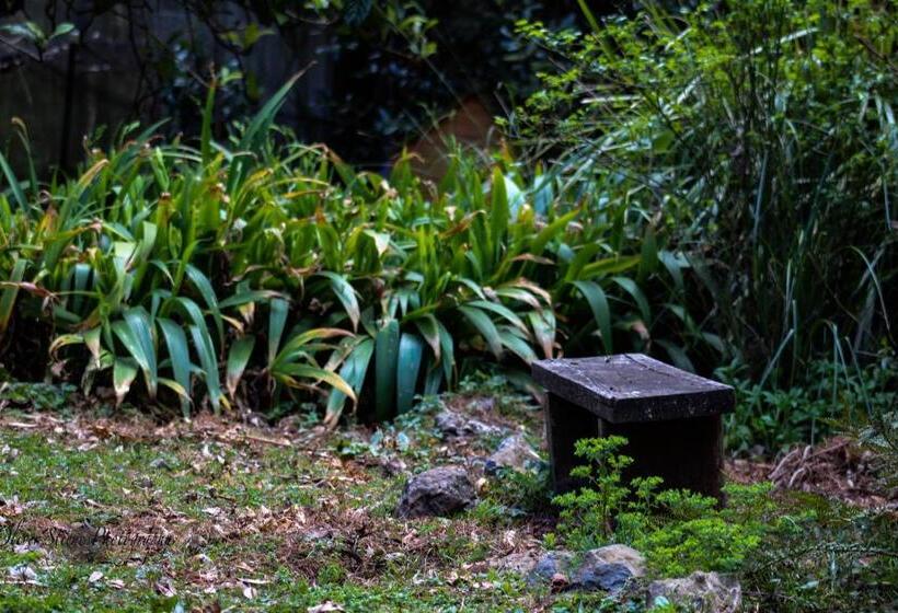 住宿加早餐 Tomah Retreat Studio Breathe With Fireplace