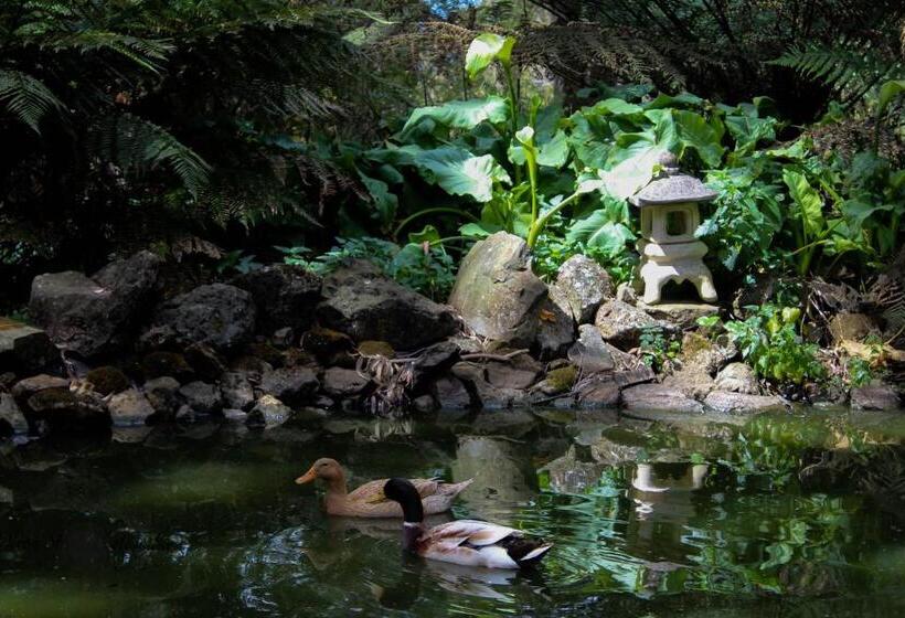 住宿加早餐 Tomah Retreat Studio Breathe With Fireplace