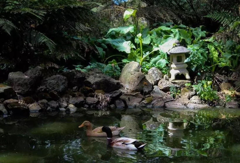 Aamiaismajoitus (B&B) Tomah Retreat   Studio Breathe With Fireplace