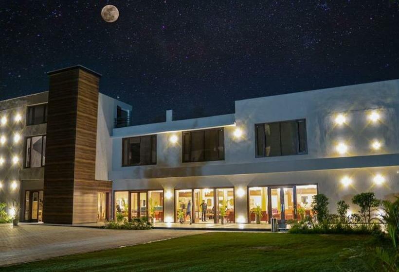 酒店 The Zenith A Boutique By Hot Millions