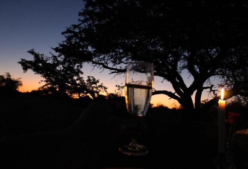 Kameel Rust And Vrede B & B And Camping