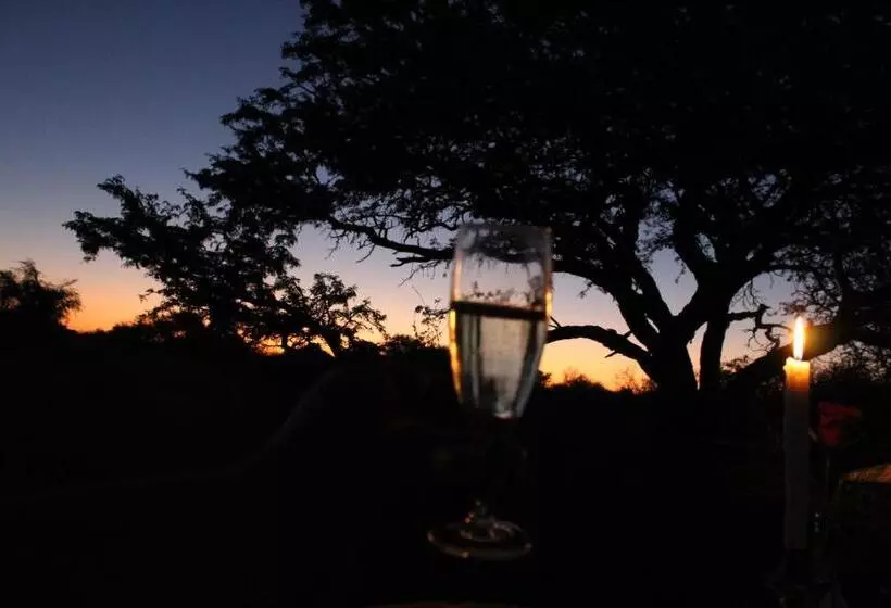 Kameel Rust And Vrede B & B And Camping