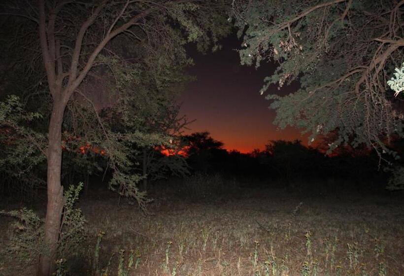 Kameel Rust And Vrede B & B And Camping