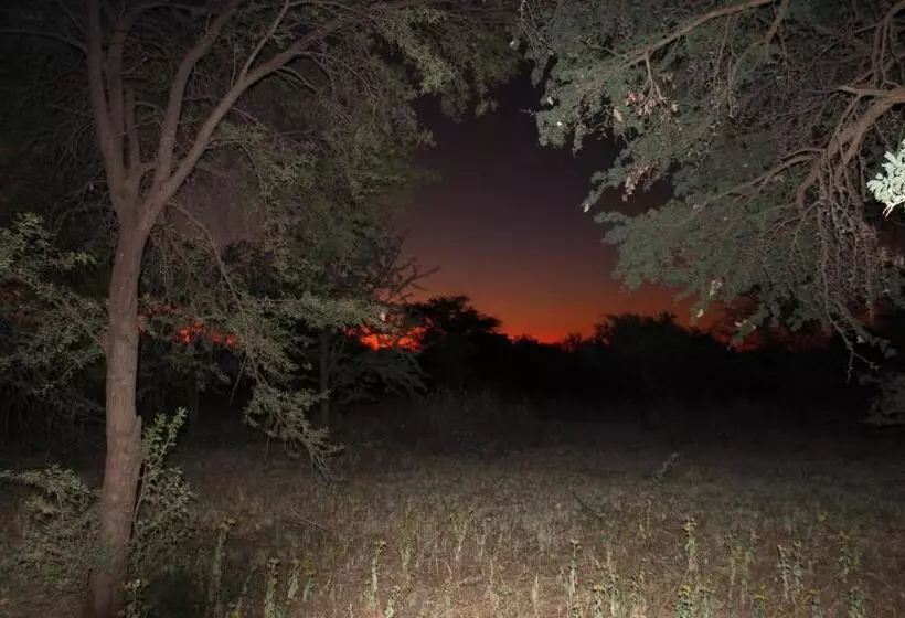 Kameel Rust And Vrede B & B And Camping