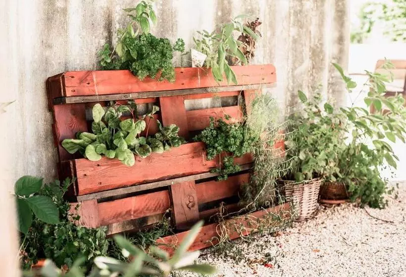 Majatalo Boróka Vendégház Tóalmás