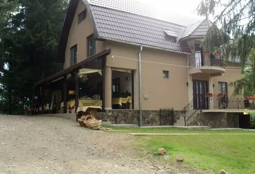 ペンション Cabana Suvenirurilor