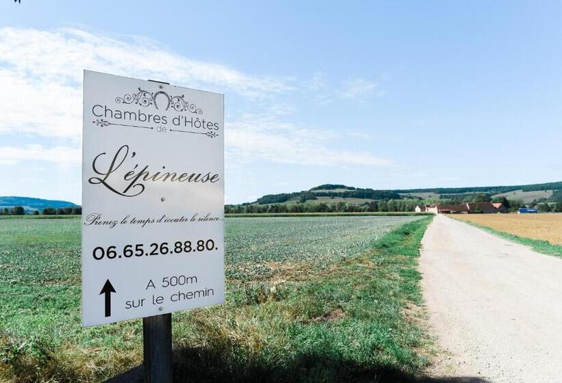 Пансион Chambre D Hôte L épineuse