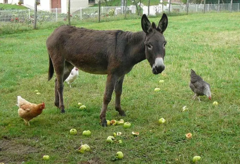 ペンション Domaine Des Charmilles