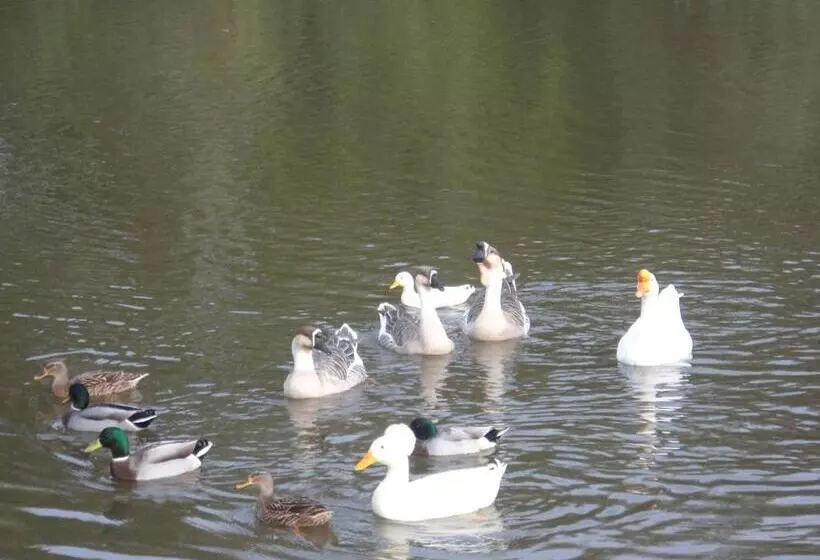 ペンション Domaine Des Charmilles