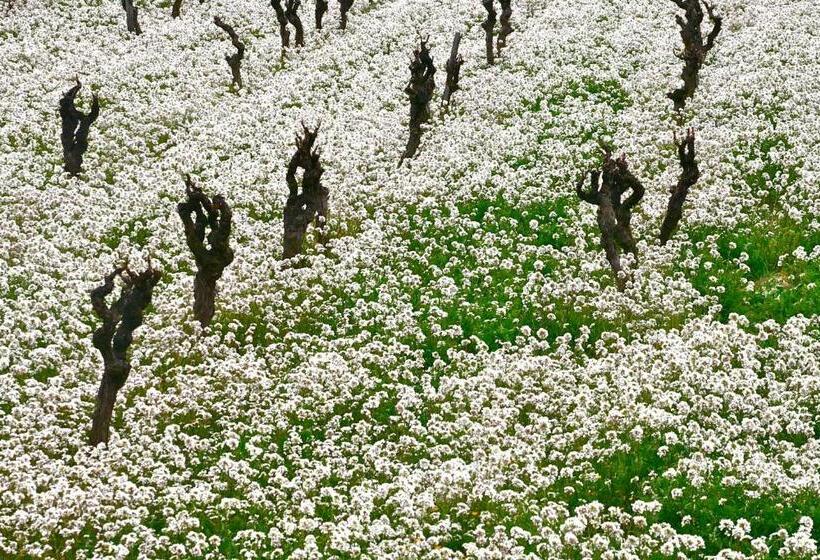 펜션 L Itinérante