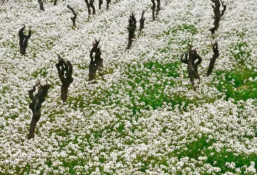 Majatalo L Itinérante