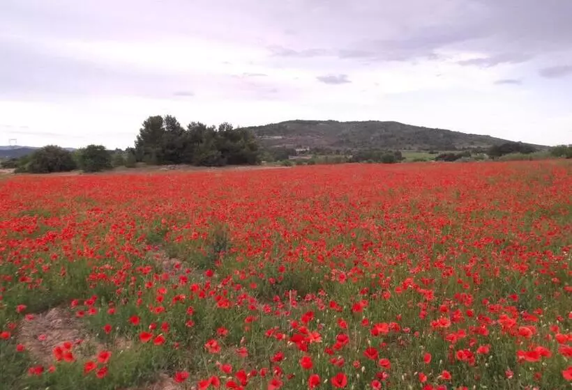 Majatalo L Itinérante