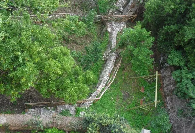 Majatalo Palazzo Gentilizio De Maffutiis