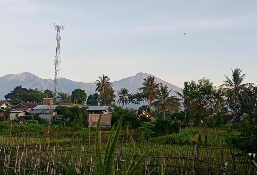 ペンション Rinjani Terrace Cottage