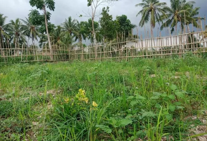 ペンション Rinjani Terrace Cottage