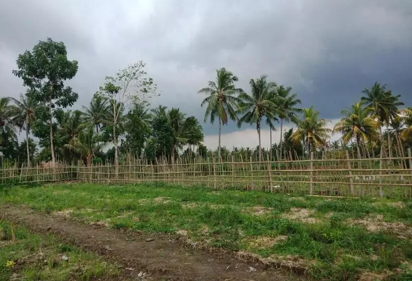 ペンション Rinjani Terrace Cottage