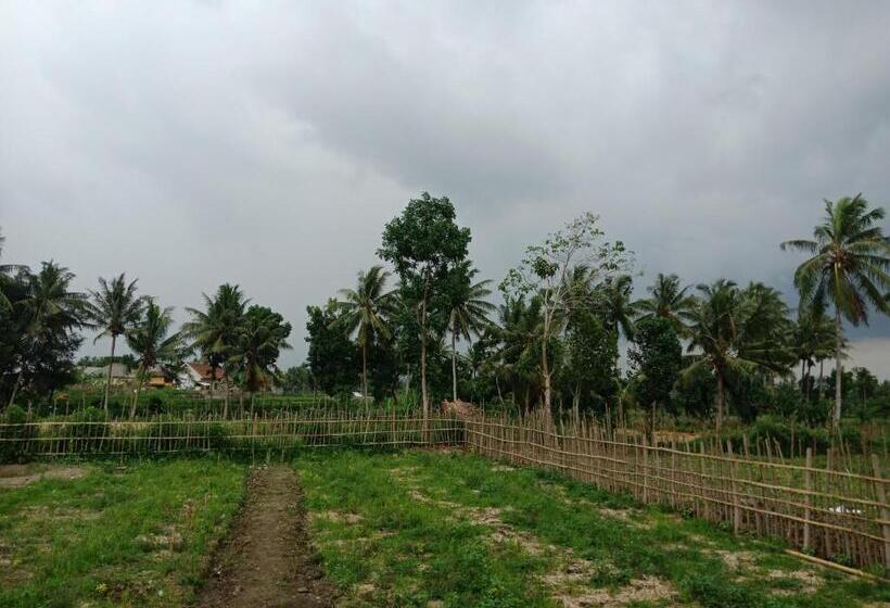 بنسيون Rinjani Terrace Cottage