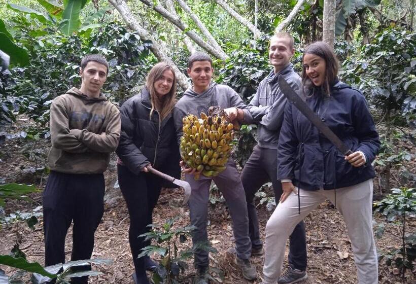 ユースホステル Lia B&b Lucmabamba